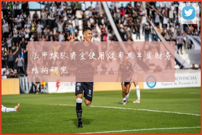 法甲球队资金使用效率及年度财务结构研究