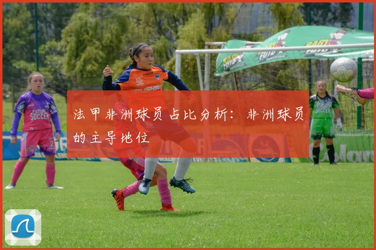 法甲非洲球员占比分析：非洲球员的主导地位